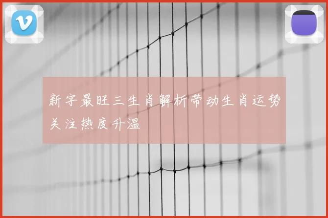 新字最旺三生肖解析带动生肖运势关注热度升温