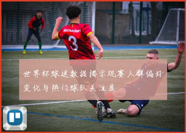 世界杯球迷数据揭示观赛人群偏好变化与热门球队关注度
