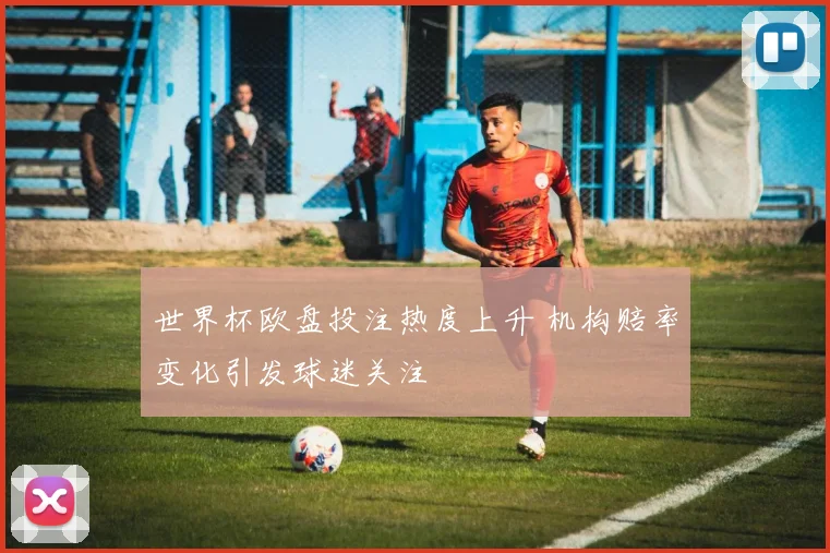 世界杯欧盘投注热度上升 机构赔率变化引发球迷关注