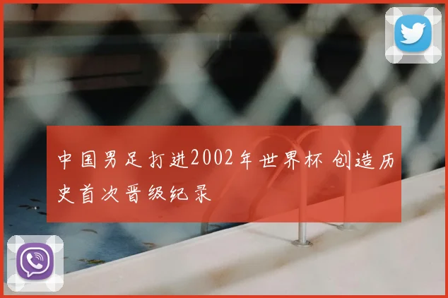中国男足打进2002年世界杯 创造历史首次晋级纪录