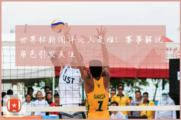 世界杯新闻评论人是谁：赛事解说角色引发关注